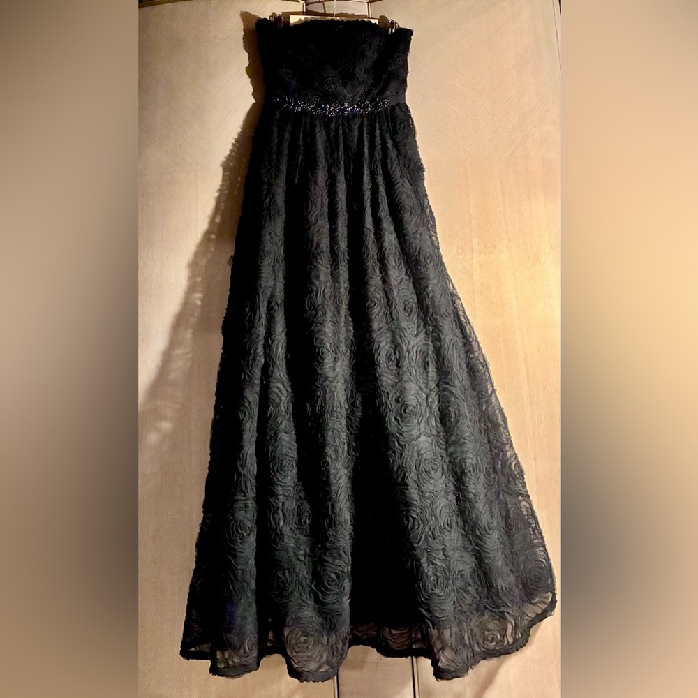 Elegant Black Strapless Gown by Adrianna Pappell Size 12